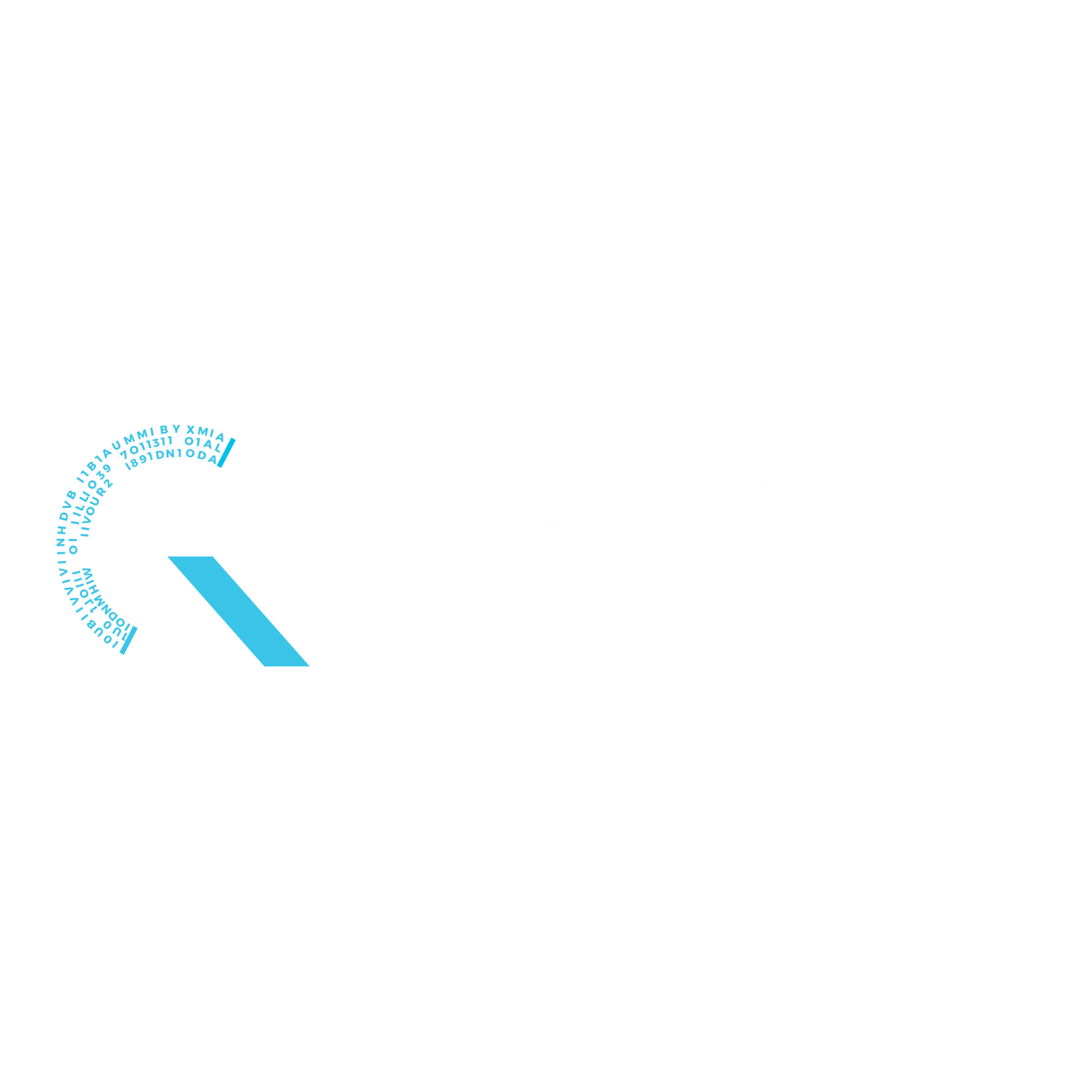QUANTORY SECURITY